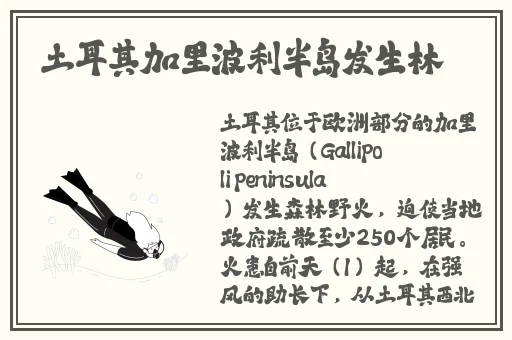 **大尺度视频